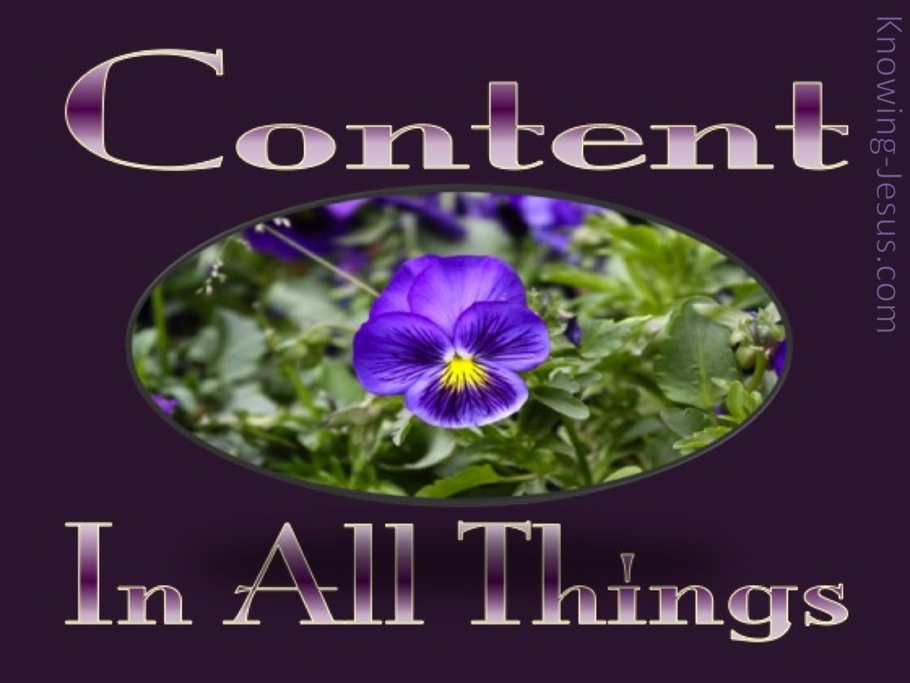 Philippians 4:11 Content In All Things (devotional)01:07 (purple)